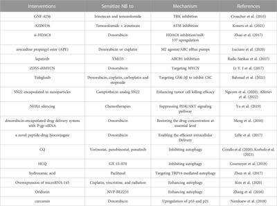 Therapy resistance in neuroblastoma: Mechanisms and reversal strategies